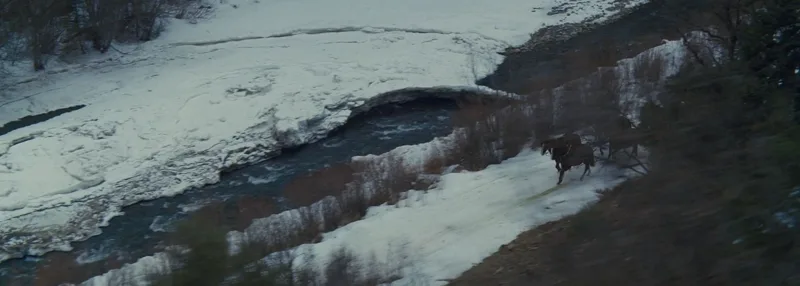 The Hateful Eight